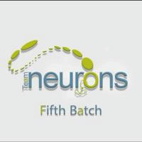 Neurons Fifth Batch
