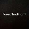 Forex Trading ™