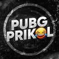 PUBG PRIKOL