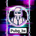 PUBG___BX