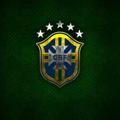 DLS Brazil