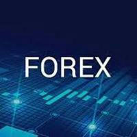 Forex professional