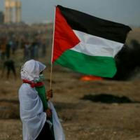 Palestina libre / Free Palestine