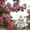 Гид по Православным храмам всего мира 🌎