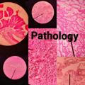 Pathology