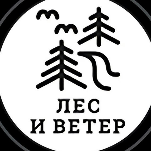 Лес и ветер 🌲 💨