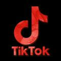 tiktok video