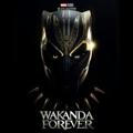 @Vm_MarvelDc @Wakanda Forever
