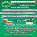 برنج فروشی مرواریدشمال.انواع برنجهای ایرانی با بهترین کیفیت وپایین ترین قیمت.۰۹۱۹۵۷۵۹۵۹۱ (سبحانی)
