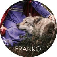 FRANKO | кинолог -зоопсихолог
