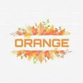 Orange Tr