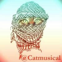 CatMusical