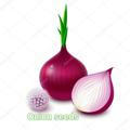 Onion seeds