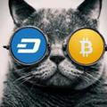 Paid group Bitcoin Cat