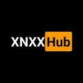 XNXX HUB
