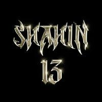 shahin13