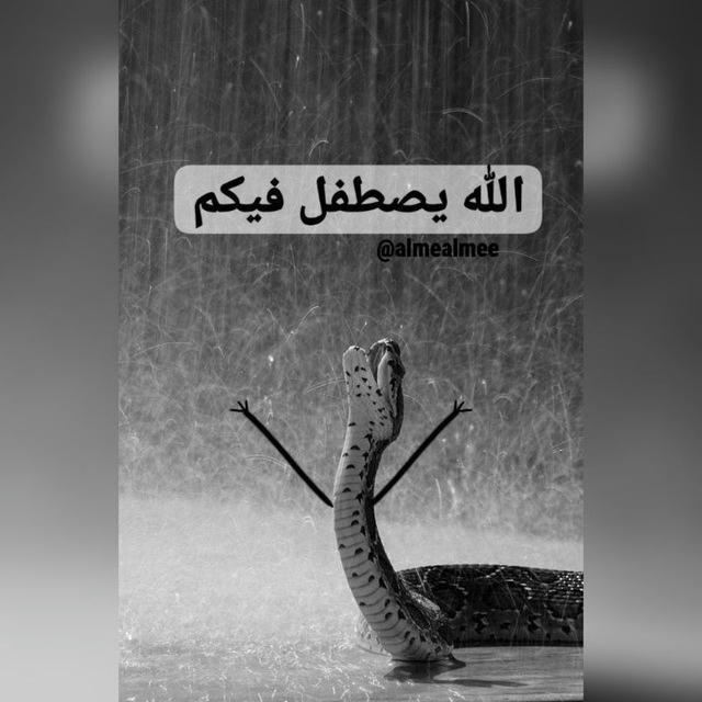 عالم التسسس🐍