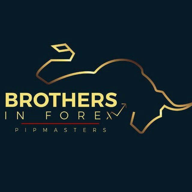 Brothers in Forex