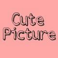 ♡︎ Cute Picture ♡︎