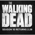 Walking dead season 11 episode 8