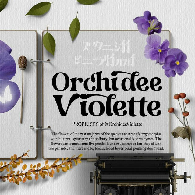 ა Orchideè Violette .ׅOPEN ORDER