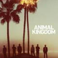 🖥 Animal Kingdom 🖥
