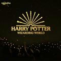 Harry Potter World 🔮⚡️