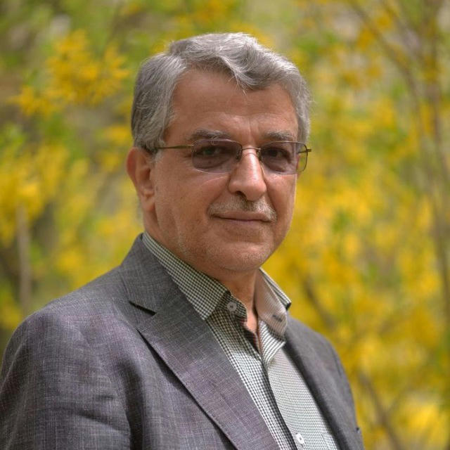 دکتر سید حمید خویی