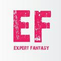 Expert Fantasy™