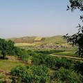 کانال عه شیره تی مراوا