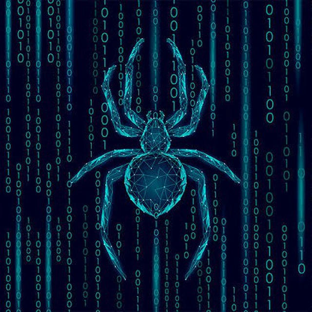 Spider Cyber Team