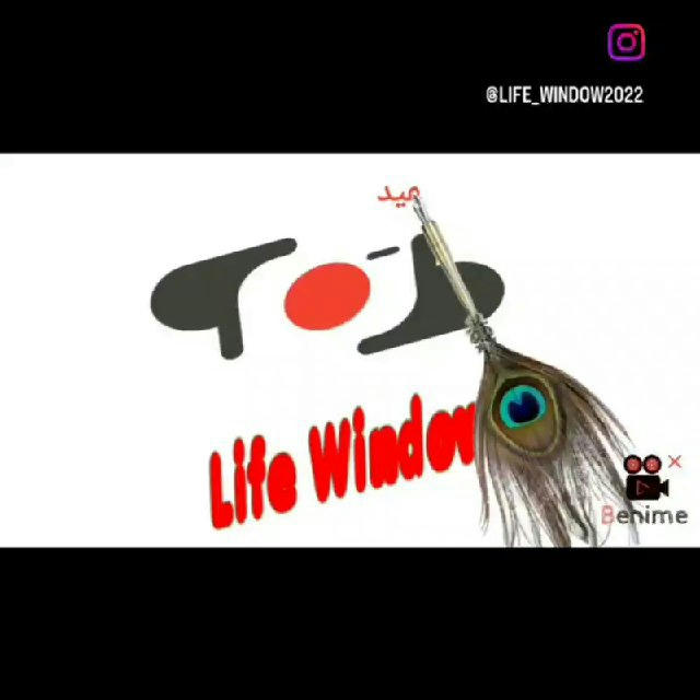 Life Window Channel 🪟