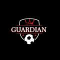 Guardian of football ⚽