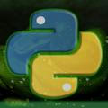 Python Skills 🐍