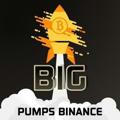 Binance Bitcoin Future Trading ✔