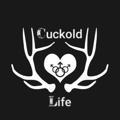 Cuckold Life♠️