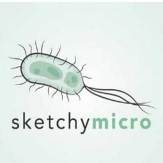Sketchy Micro Video