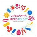 گروه رشته میکروبیولوژی و زیست شناسی سلولی و مولکولی