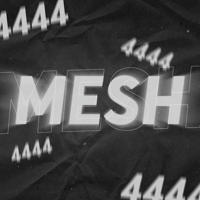 Mesh & Dragneel_FH