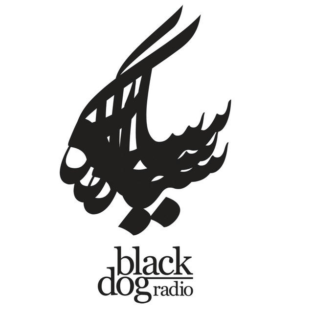 Black Dog Radio | رادیو سگ سیاه