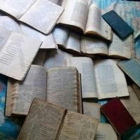 المخطوطات وجديد الكتب