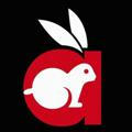 Rabbit movie backup channel 🔞🔰