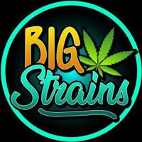 BIG STRAINS PRODS