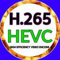H.265 HEVC