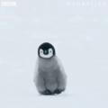 In Penguin Veritas🐧
