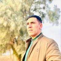 الاستاذ محمد طاهر
