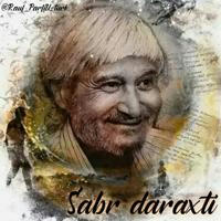 Sabr daraxti (Rauf Parfi)