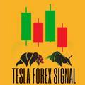 Tesla Forex Signal