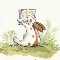 Заяц прочитал 🐰