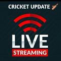 Cricket update 🏏🏏